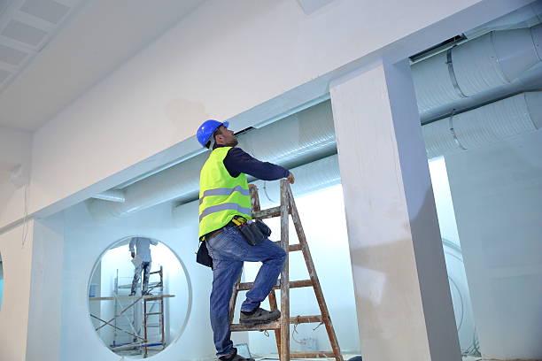 Best Forensic Mold Investigation  in Hoback, WY