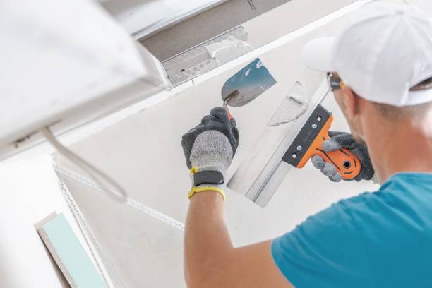 Best Emergency Mold Remediation  in Hoback, WY